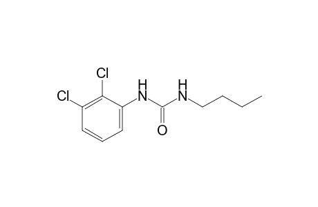 1-butyl-3-(2,3-dichlorophenyl)urea