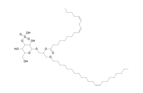 SMGDG O-22:1_17:2