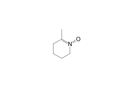 6-METHYL-2,3,4,5-TETRAHYDROPYRIDINE-N-OXIDE