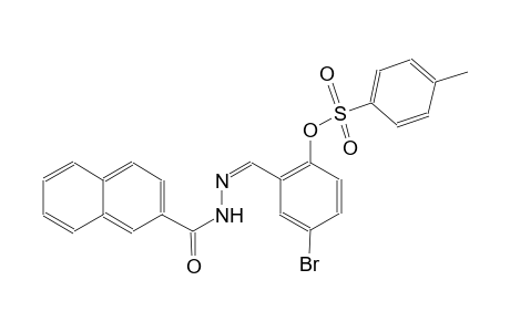 4-bromo-2-[(Z)-(2-naphthoylhydrazono)methyl]phenyl 4-methylbenzenesulfonate