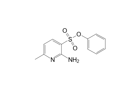 Phenyl 2-Amino-6-methylpyidine-3-sulfonate