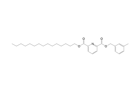 2,6-Pyridinedicarboxylic acid, 3-methylbenzyl pentadecyl ester