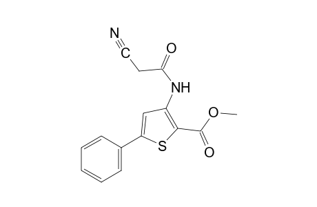 3-(2-cyanoacetamido)-5-phenyl-2-thiophenecarboxylic acid, methyl ester