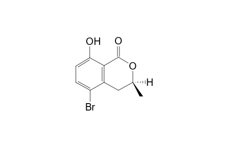 (S)-(+)-5-Bromomellein [(S)-(+)-5-Bromo-8-hydroxy-3-methyl-3,4-dihydro-1H-2-benzopyran-1-one]