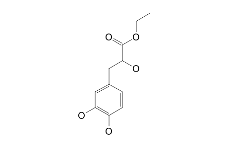 ETHYL-3-(3,4-DIHYDROXYPHENYL)-LACTATE