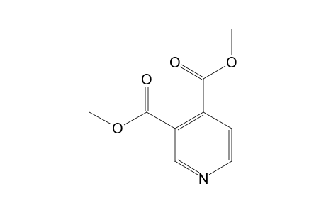3,4-DIMETHOXYCARBONYLPYRIDINE