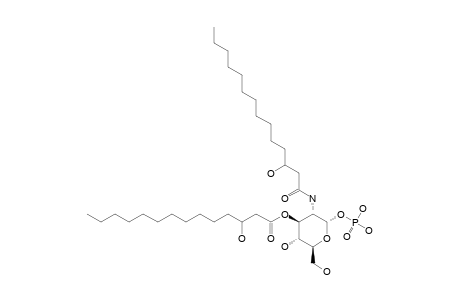 LIPID-X