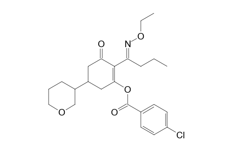 Benzoic acid, 4-chloro-, 2-[1-(ethoxyimino)butyl]-3-oxo-5-(tetrahydro-2H-pyran-3-yl)-1-cyclohexen-1-yl ester