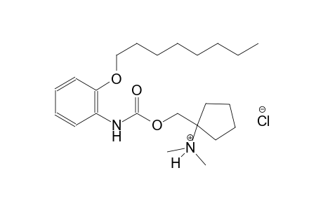 N,N-dimethyl-1-[({[2-(octyloxy)anilino]carbonyl}oxy)methyl]cyclopentanaminium chloride