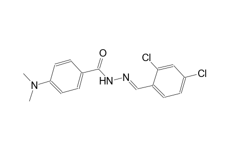 N'-[(E)-(2,4-dichlorophenyl)methylidene]-4-(dimethylamino)benzohydrazide