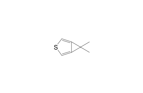 6,6-Dimethyl-3-thiabicyclo[3.1.0]hexa-1,4-diene