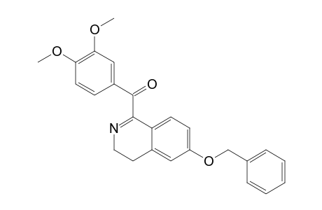 1-BENZOYL-6-BENZYLOXY-3',4'-DIMETHOXY-3,4-DIHYDROISOQUINOLINE