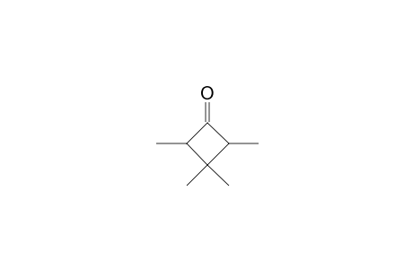 Cyclobutanone, 2,3,3,4-tetramethyl-