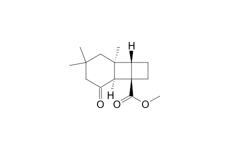Tricyclo[4.4.0.0(2,5)]decane-2-carboxylic acid, 6,8,8-trimethyl-10-oxo-, methyl ester, (1.alpha.,2.beta.,5.beta.,6.alpha.)-(.+-.)-