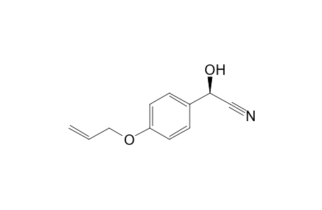 (2R)-2-(4-allyloxyphenyl)-2-hydroxy-acetonitrile