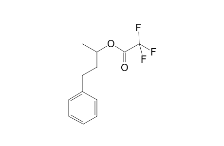 4-Phenylbutan-2-ol trifluoroacetate