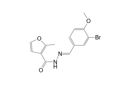N'-[(E)-(3-bromo-4-methoxyphenyl)methylidene]-2-methyl-3-furohydrazide