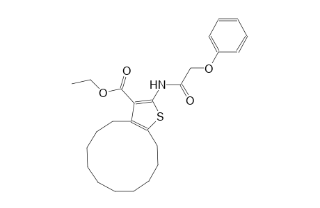 ethyl 2-[(phenoxyacetyl)amino]-4,5,6,7,8,9,10,11,12,13-decahydrocyclododeca[b]thiophene-3-carboxylate