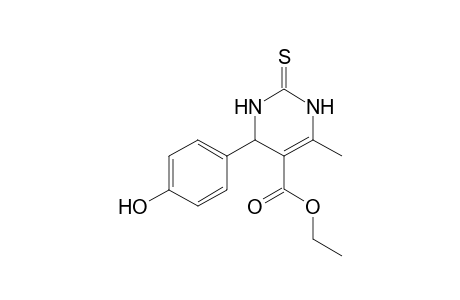 5-Ethoxycarbonyl-6-methyl-4-(4-hydroxy-phenyl)-3,4-dihydropyrimidin-2-(1H)-thione