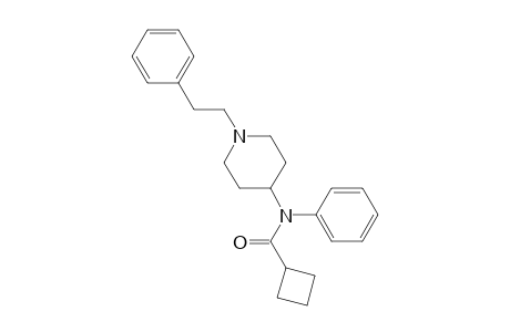 Cyclobutyl fentanyl