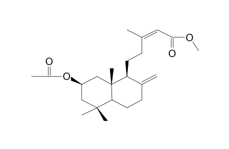 METHYL-2B-ACETOXYLABDA-8(17), 13Z-DIEN-15-OATE