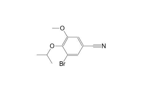 3-bromo-4-isopropoxy-5-methoxybenzonitrile