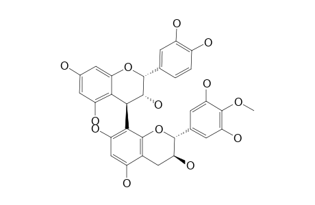 EPICATECHIN-(4-BETA->8)-4'-O-METHYLGALLOCATECHIN