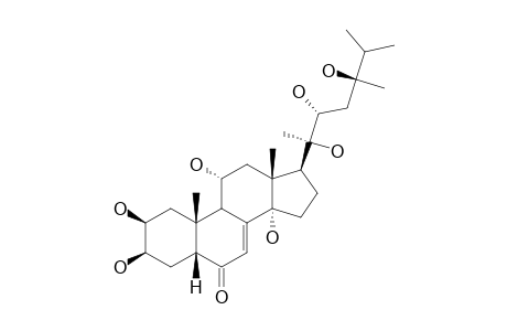 PAXILLOSTERONE;2-BETA,3-BETA,11-ALPHA,14-ALPHA,20R,22R,24R-HEPTAHYDROXY-5-BETA-ERGOST-7-EN-6-ONE