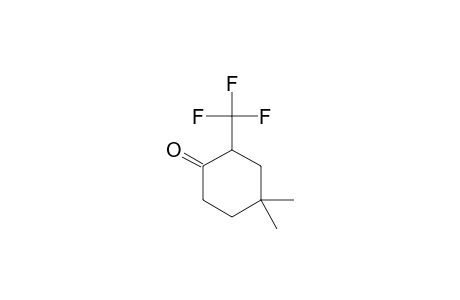 4,4-DIMETHYL-2-TRIFLUOROMETHYL-CYCLOHEXANONE