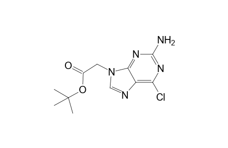 Tert-Butyl (2-amino-6-chloro-9H-purin-9-yl)acetate