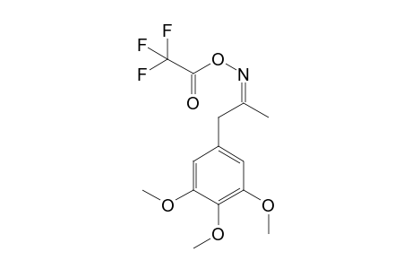 1-(3,4,5-Trimethoxyphenyl)propan-2-on-oxime TFA