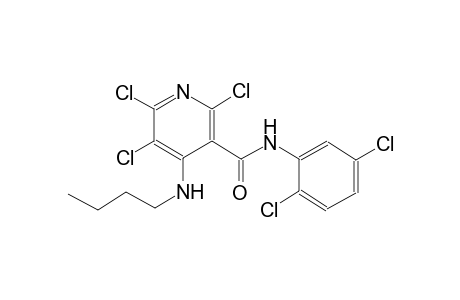 4-(butylamino)-2,5,6-trichloro-N-(2,5-dichlorophenyl)nicotinamide