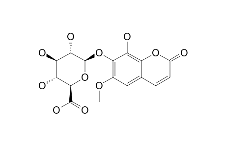 FRAXETIN-7-O-BETA-D-GLUCURONIDE