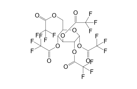 Glucose 5TFA