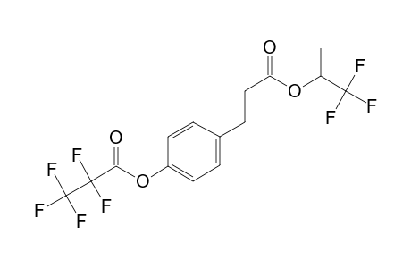 3-(4-Hydroxyphenyl)propionic acid, o-pentafluoropropionyl-, 1,1,1-trifluoro-2-propyl ester