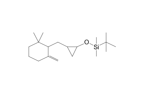 t-Butyl-[2-(2,2-dimethyl-6-methylene-cyclohexylmethyl)-cyclopropoxy]-dimethyl-silane