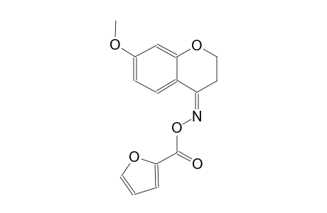 (4Z)-7-Methoxy-2,3-dihydro-4H-chromen-4-one o-(2-furoyl)oxime