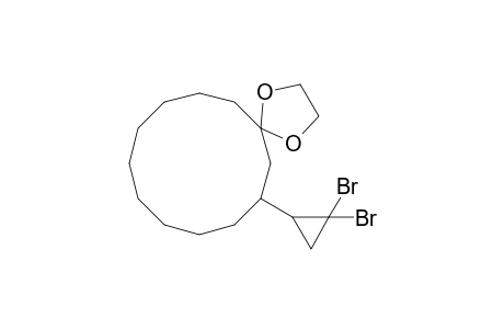7-(2',2'-Dibromocyclopropyl)-1,4-dioxa-spiro[4.11]hexadecane