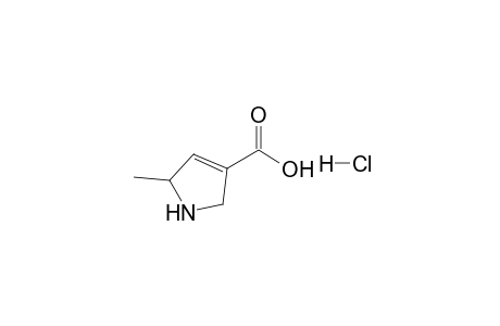 1H-Pyrrole-3-carboxylic acid, 2,5-Dihydro-5-methyl-, Monohydrochloride