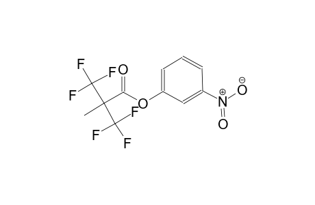 3-nitrophenyl 3,3,3-trifluoro-2-methyl-2-(trifluoromethyl)propanoate