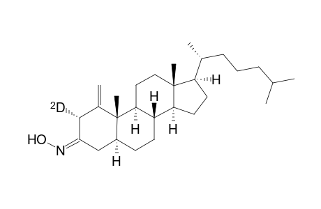 (E)-and (Z)-2.alpha.-Deuterio-1-methylene-5.alpha.-cholestan-3-one oxime