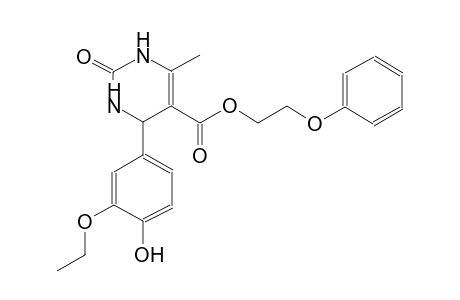 5-pyrimidinecarboxylic acid, 4-(3-ethoxy-4-hydroxyphenyl)-1,2,3,4-tetrahydro-6-methyl-2-oxo-, 2-phenoxyethyl ester