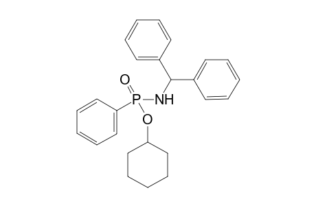 N-Diphenylmethyl-P-cyclohexyl-P-phenyl-phosphonamide