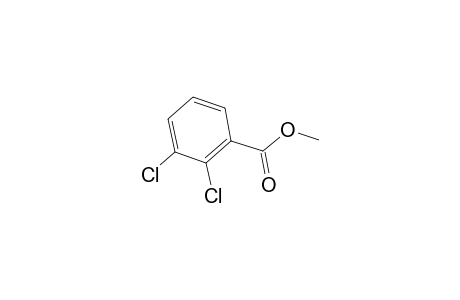 2,3-Dichlorobenzoic acid methyl ester