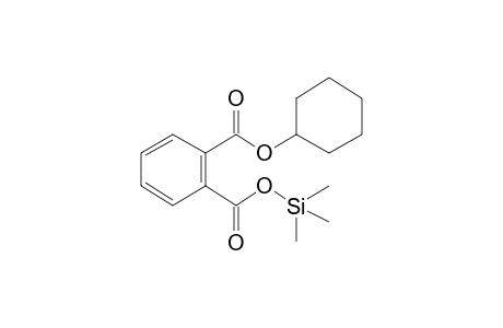 Monocyclohexyl phthalate, tms derivative