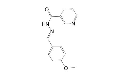 N-[(E)-(4-methoxyphenyl)methyleneamino]pyridine-3-carboxamide