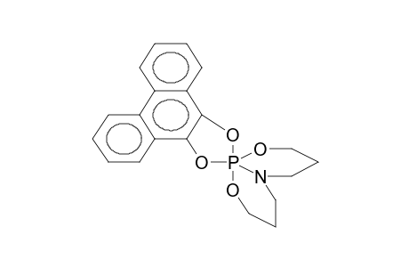 1,1-(PHENANTHRENE-9,10-DIOXY)-1-PHOSPHA-2,10-DIOXA-5-AZABICYCLO[4.4.0]DECANE