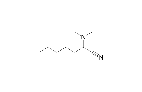 2-(Dimethylamino)enanthonitrile