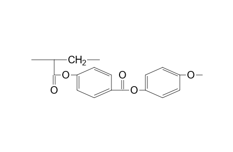 Poly[1-(methoxy-1,4-phenyleneoxy-1,4-benzoyloxycarbonyl)ethylene]