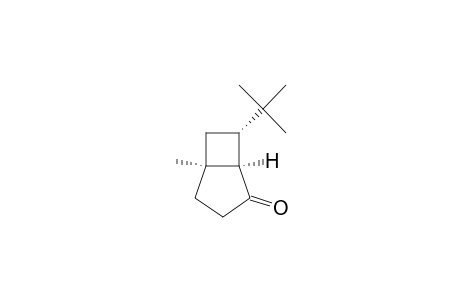 (1.alpha.,5.alpha.,7.alpha.)-7-(t-Butyl)-5-methylbicyclo[3.2.0]heptan-2-one